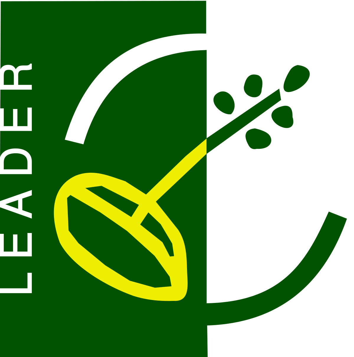 LEADER Logo